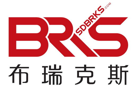 山東布瑞克斯汽車零部件